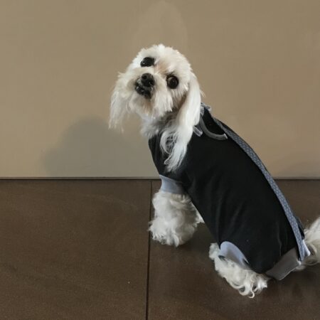 OP Body Hunde Body aus Baumwolle GREY