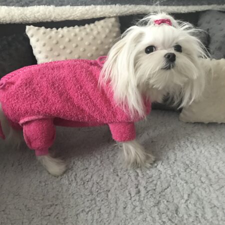 OP Body mit Hinterbeinen aus Frottee Pink