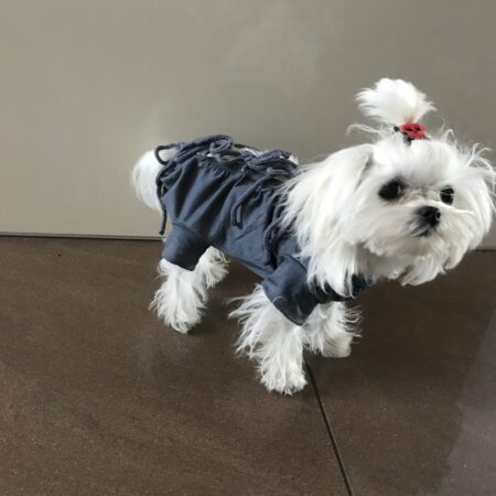 OP HEMD für Weibchen und Rüde*GREY* zum binden