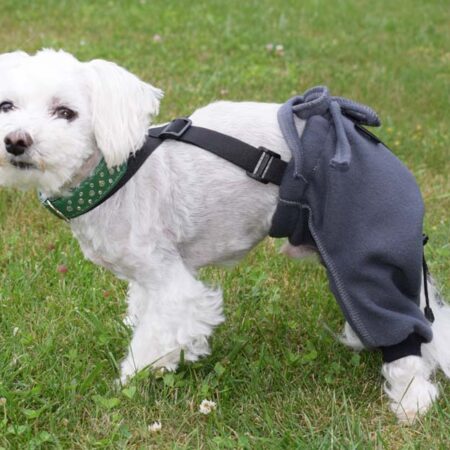 OP HOSE aus Fleece  für Hinterbeine Hunde Operation,Hüftoperation