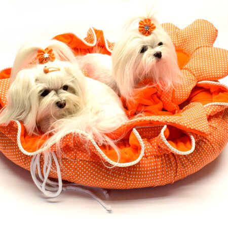 ORANGE FLOWER Hundebett Limited Edition