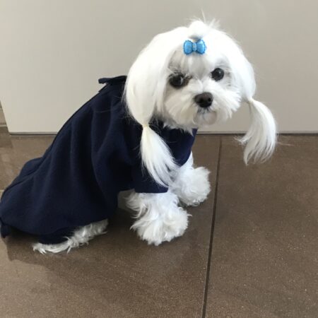 Op Body Hemd für Hunde DARK BLUE (kuschelig warm)