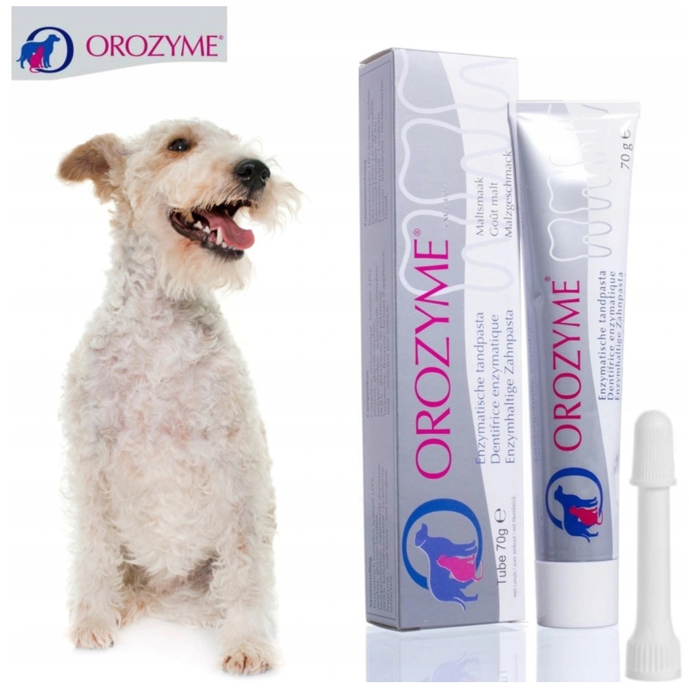 Orozyme Oral Hygiene Gel 70g