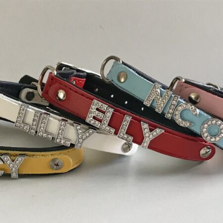 Personalisierte Hundehalsband aus Leder *GLAMOUR*Gr.4