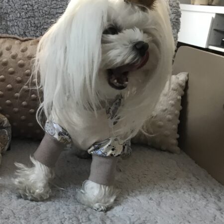 Pyjama Jogginganzug * TIERE *Hausanzug RESTPOSTEN