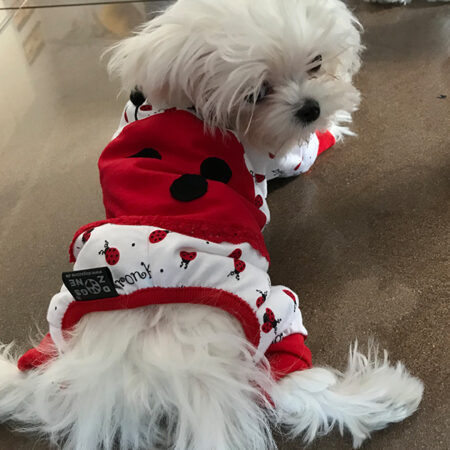 Pyjama Jogginganzug * BIG LADY BUG *Hausanzug