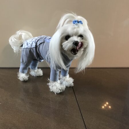 Pyjama Jogginganzug * BLUE BÄR*Hausanzug RESTPOSTEN