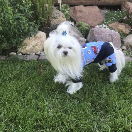 Pyjama Jogginganzug * BLUE CAR *Hausanzug