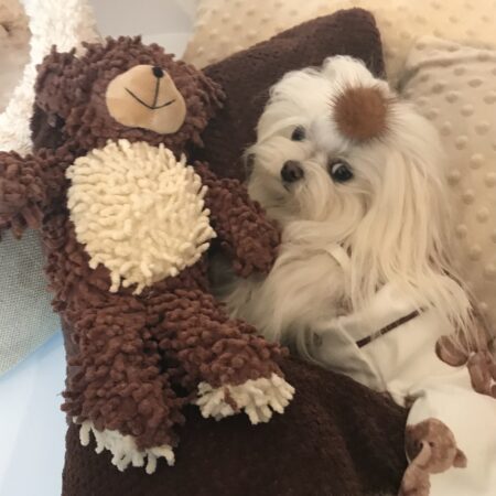 Pyjama Jogginganzug Hausanzug TEDDYBÄR warm und kuschelig