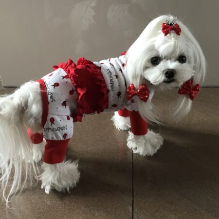 Pyjama Jogginganzug * LITTLE LADY BUG*Hausanzug