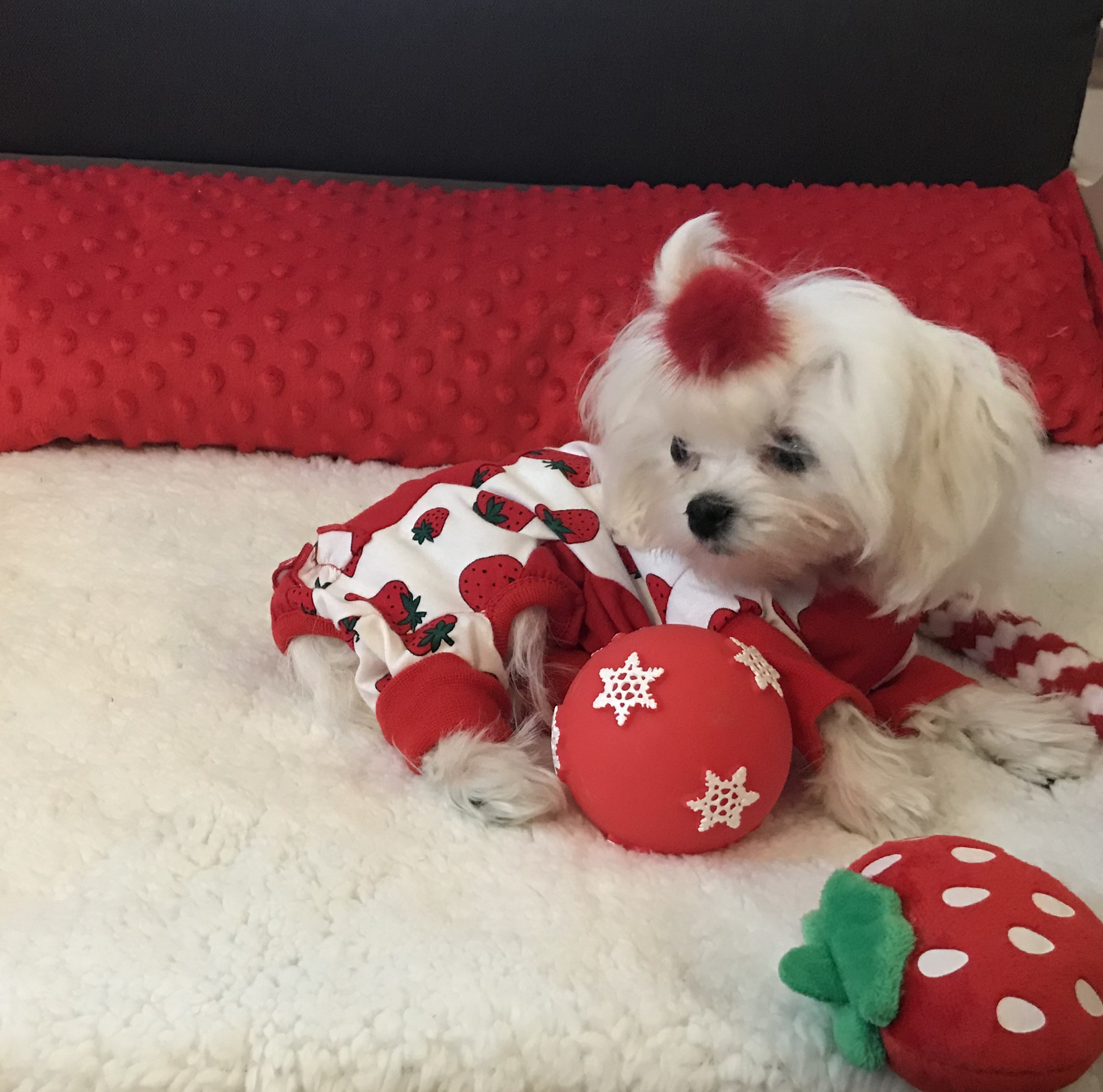 Pyjama Jogginganzug * PEARL STRAWBERRY *Hausanzug