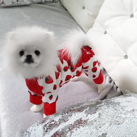 Pyjama Jogginganzug * PEARL STRAWBERRY *Hausanzug