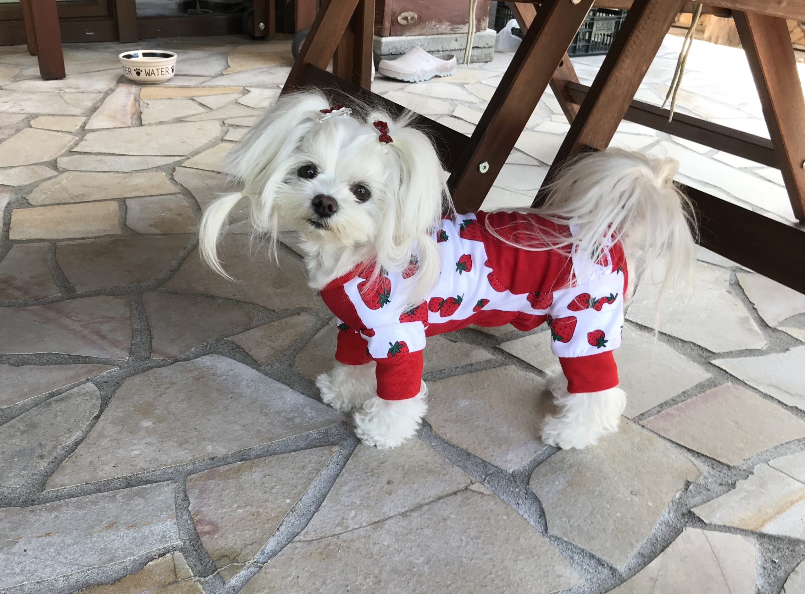 Pyjama Jogginganzug * PEARL STRAWBERRY *Hausanzug