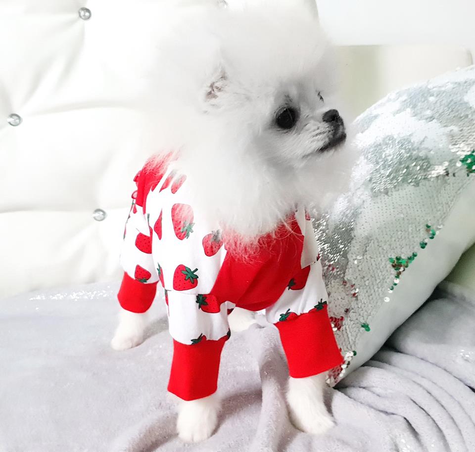 Pyjama Jogginganzug * PEARL STRAWBERRY *Hausanzug