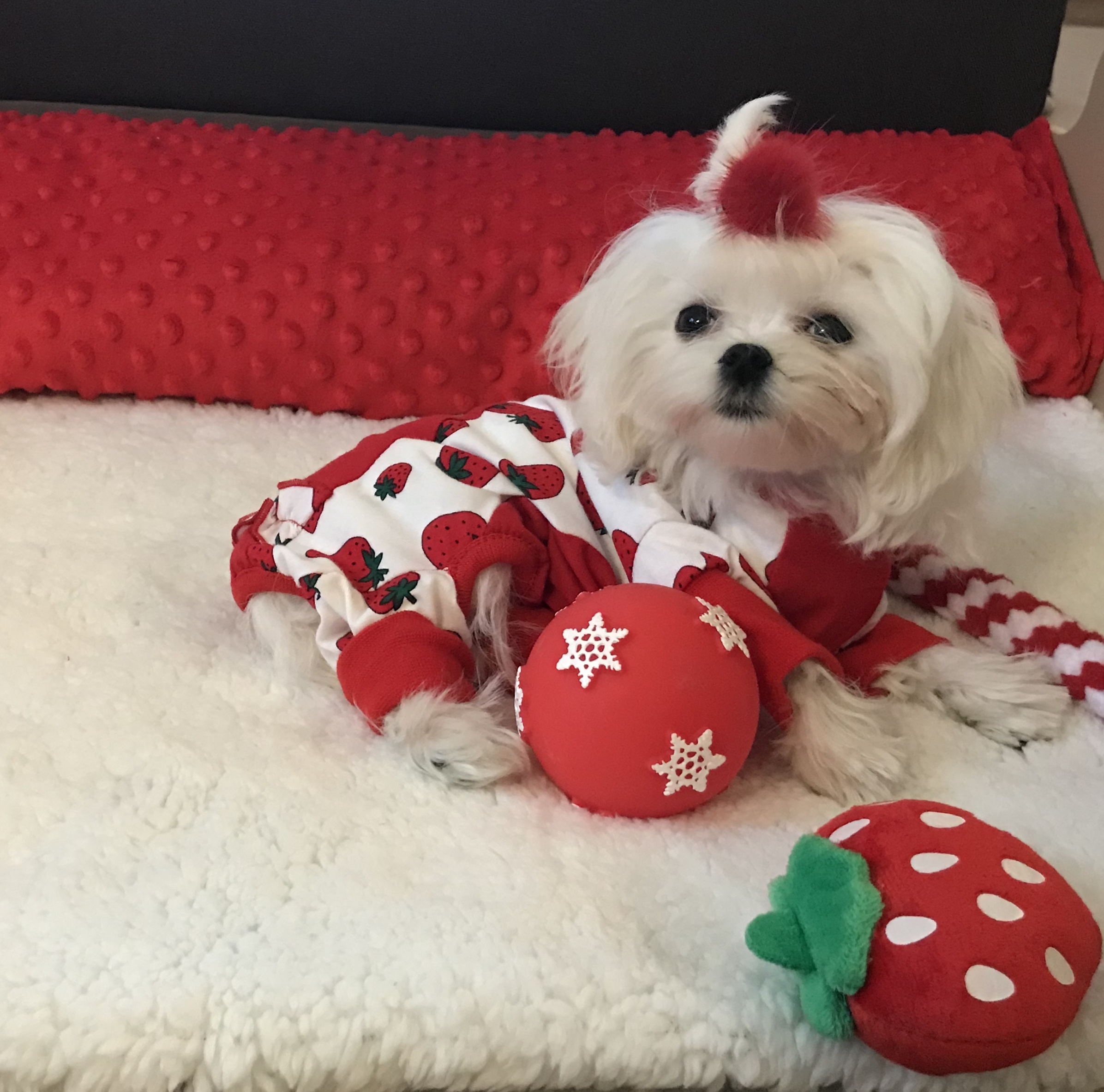 Pyjama Jogginganzug * PEARL STRAWBERRY *Hausanzug