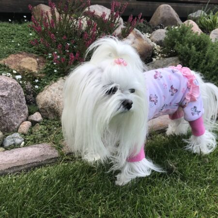 Pyjama Jogginganzug * RAINBOW PONY *Hausanzug