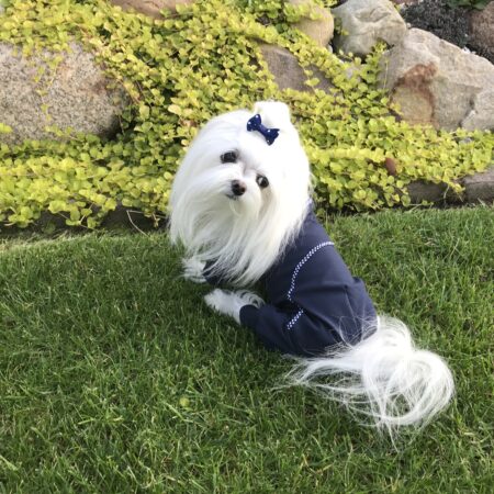 Pyjama Jogginganzug * SAILOR * Hausanzug