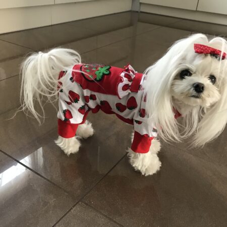 Pyjama Jogginganzug * SPARKLING STRAWBERRY *Hausanzug