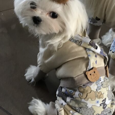 Pyjama Jogginganzug * TEDDY and FRIENDS *Hausanzug RESTPOSTEN