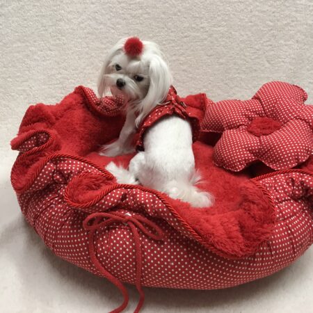 RED FLOWER Hundebett Limited Edition