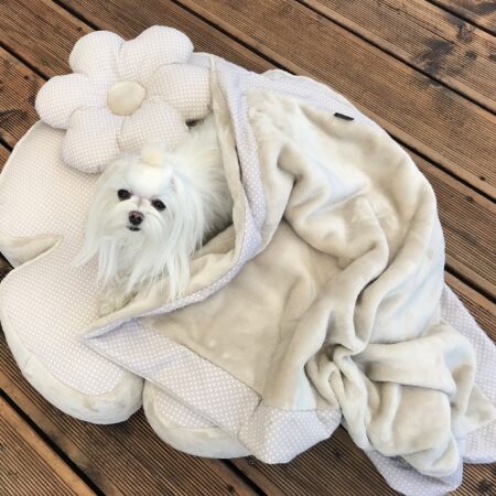 RIESEN BLUME BEIGE Hundebett Limited Edition