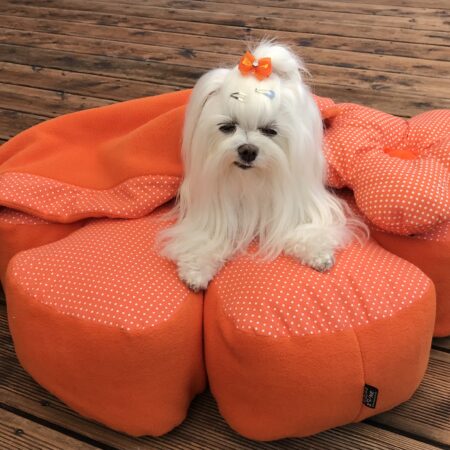 RIESEN BLUME ORANGE Hundebett Limited Edition