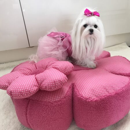 RIESEN BLUME PINK/ PINK Hundebett Limited Edition