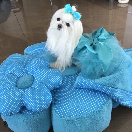 RIESEN BLUME SKYBLUE Hundebett Limited Edition