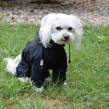 Regenanzug für Hunde BLACK HERCULES mit D-Ring