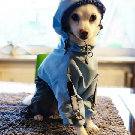 Regenanzug für Hunde BLUE BOY  mit D-Ring