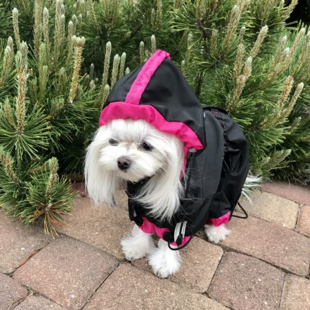 Regenanzug für Hunde LULU mit D-Ring extra für Weibchen