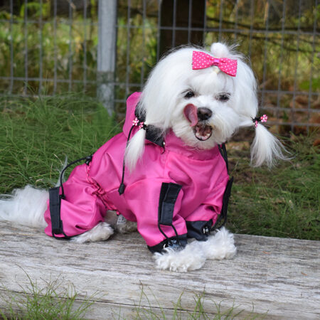 Regenanzug für Hunde *PINK BELLONA *extra für Weibchen mit D-Ring