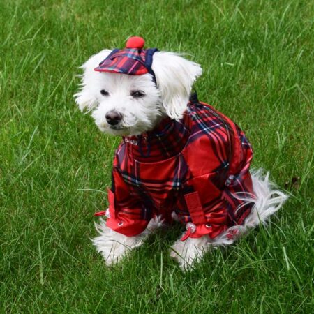 Regenanzug für Hunde * RED FRED * mit D-Ring