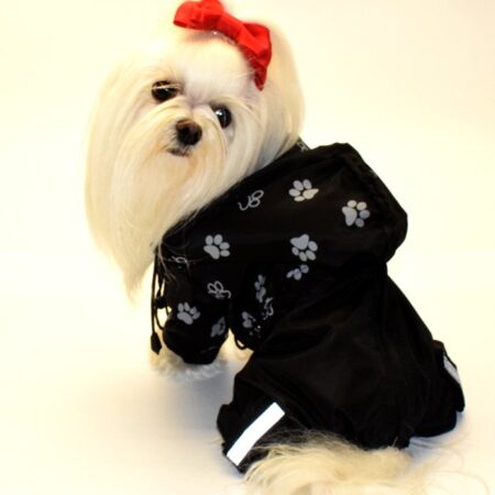 Regenanzug für Hunde TATZE SCHWARZ mit D-Ring