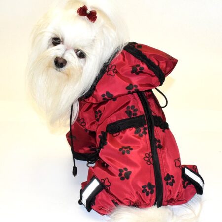 Regenanzug für Hunde TATZE WEINROT mit D-Ring extra für Weibchen