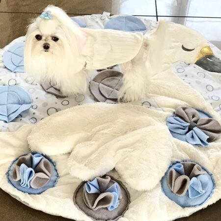 SCHWAN Schnüffelteppich Spielteppich für Hunde,Katzen,Welpen