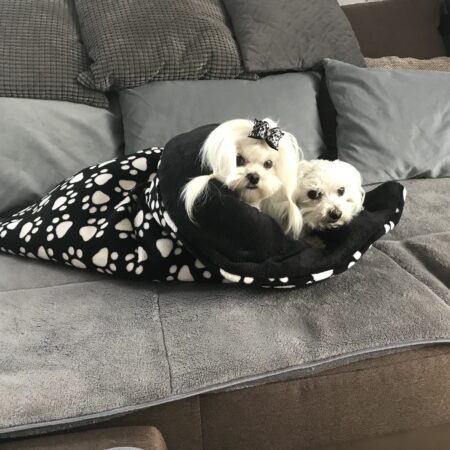 Schlafsack ,Decke ,Spielplatz für Hunde B&W PAWS