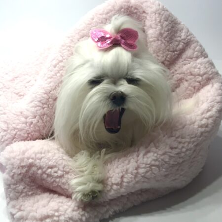 Schlafsack ,Decke ,Spielplatz für Hunde BONE ROSA