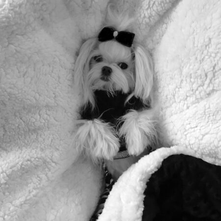 Schlafsack ,Decke ,Spielplatz für Hunde MINKY BLACK