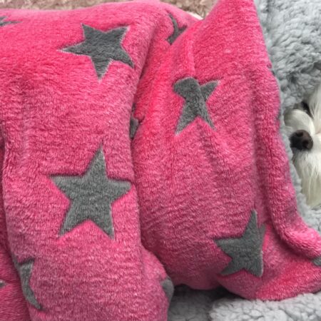 Schlafsack ,Decke ,Spielplatz für Hunde STAR PINK GREY