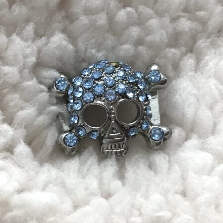 Schmuck für das Halsband * SKULLY HELL BLAU*