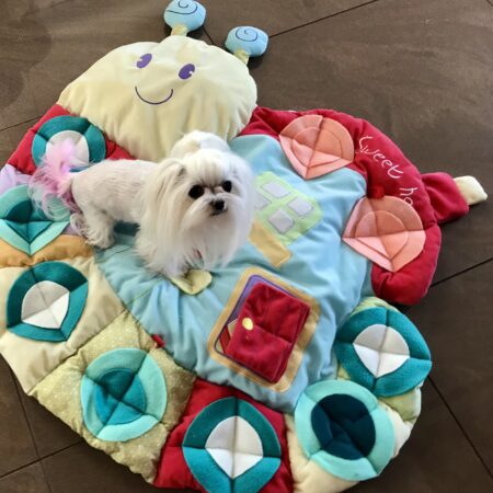 Schnecke Schn&uuml;ffelteppich Spielteppich f&uuml;r Hunde,Katzen,Welpen