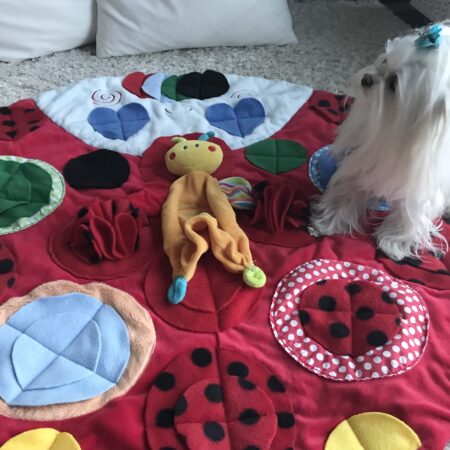 „MARIENKÄFER „Schnüffelteppich ,Spielteppich für Hunde,Katzen,Welpen