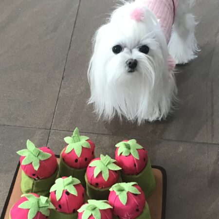Schnüffelspiel Pink Erdbeeren-Feld