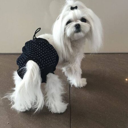 Schutzhöschen DARK BLUE bei Läufigkeit DOT EXTRA LANG