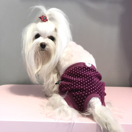 Schutzhöschen FUCHSIA bei Läufigkeit DOT EXTRA LANG