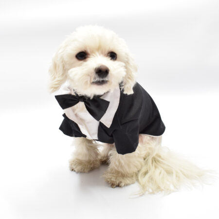 Smoking für Hunde LAS VEGAS