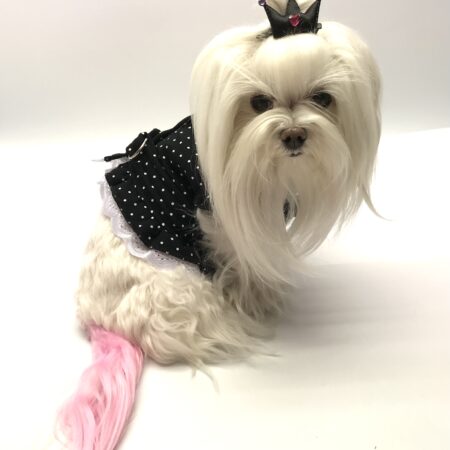 Softgeschirr * BLACK DOTTY*