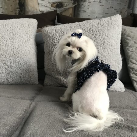 Softgeschirr * BLUE & White * Dots