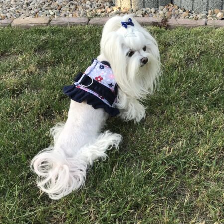 Softgeschirr *DARKBLUE FLOWER *